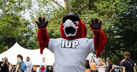 How the University of Charlotte Mascot Helps to Build Student Engagement